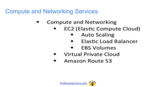 Compute and Networking Services
Professional-Guru.com
 