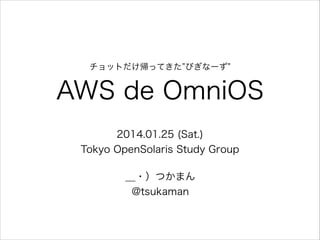 チョットだけ帰ってきた びぎなーず

AWS de OmniOS
2014.01.25 (Sat.)
Tokyo OpenSolaris Study Group
＿・）つかまん
@tsukaman

 