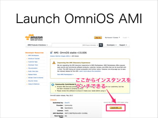 Launch OmniOS AMI

 