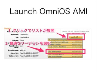 Launch OmniOS AMI

 