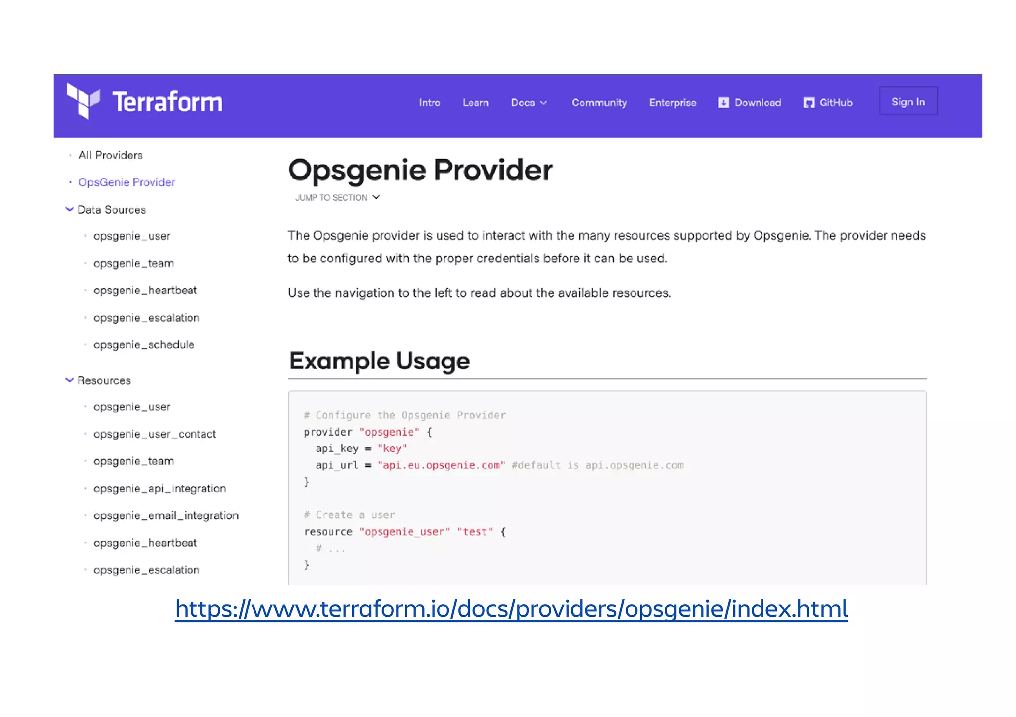 https://www.terraform.io/docs/providers/opsgenie/index.html
 