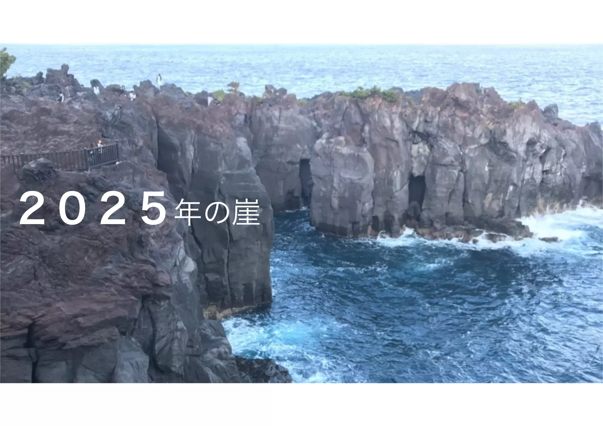 ２０２５年の崖
 