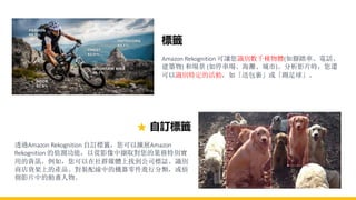 標籤
Amazon Rekognition 可讓您識別數千種物體(如腳踏車、電話、
建築物) 和場景 (如停車場、海灘、城市)。分析影片時，您還
可以識別特定的活動，如「送包裹」或「踢足球」。
自訂標籤
透過Amazon Rekognition 自訂標籤，您可以擴展Amazon
Rekognition 的偵測功能，以從影像中擷取對您的業務特別實
用的資訊。例如，您可以在社群媒體上找到公司標誌、識別
商店貨架上的產品、對裝配線中的機器零件進行分類，或偵
側影片中的動畫人物。
 