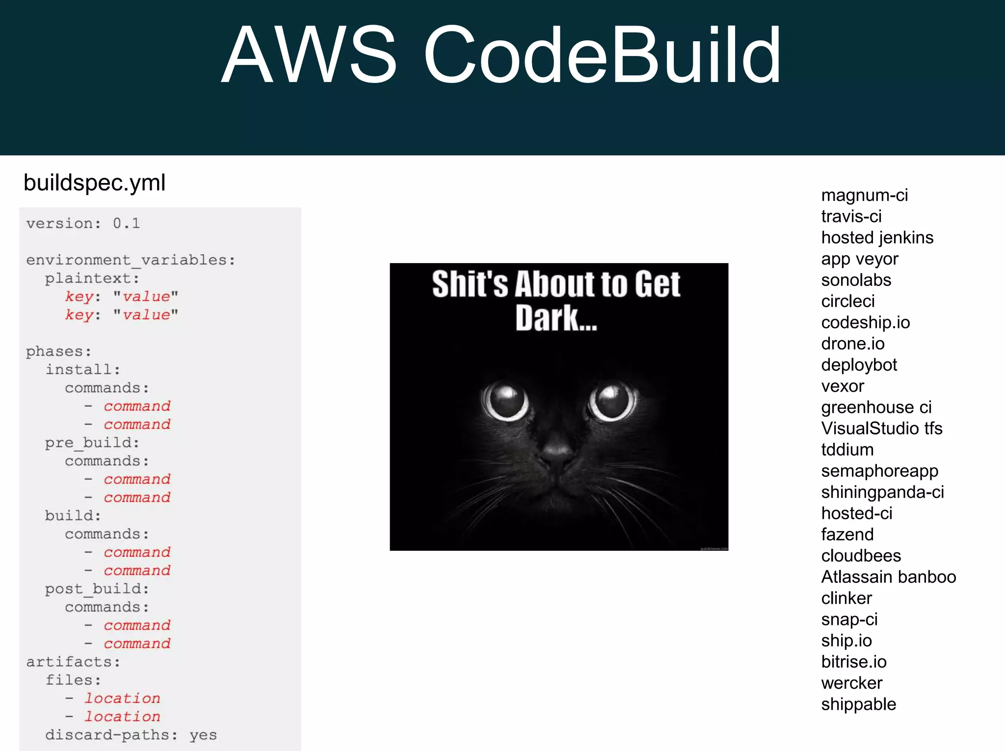 AWS CodeBuild
buildspec.yml magnum-ci
travis-ci
hosted jenkins
app veyor
sonolabs
circleci
codeship.io
drone.io
deploybot
vexor
greenhouse ci
VisualStudio tfs
tddium
semaphoreapp
shiningpanda-ci
hosted-ci
fazend
cloudbees
Atlassain banboo
clinker
snap-ci
ship.io
bitrise.io
wercker
shippable
 