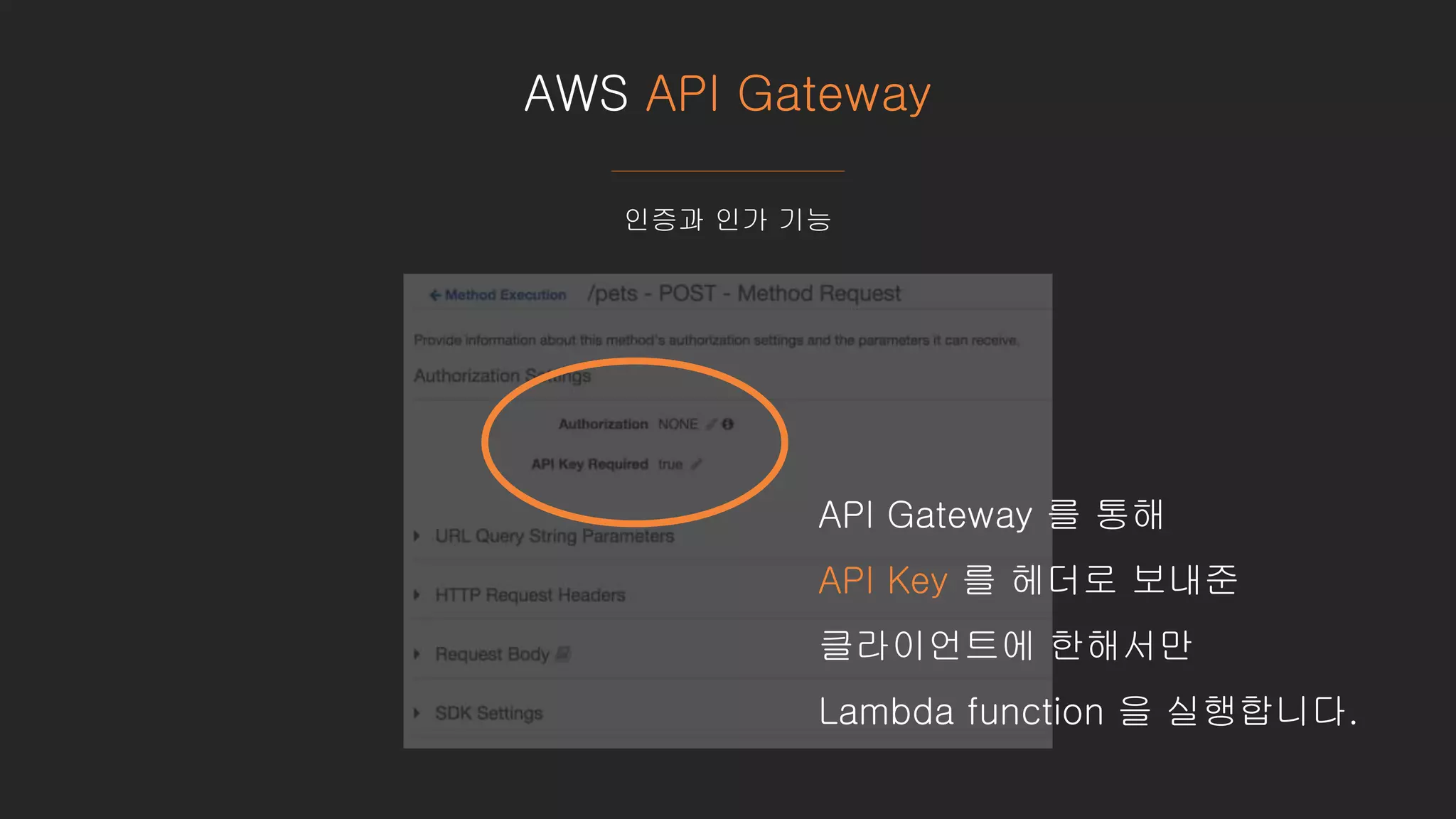 AWS API Gateway
인증과 인가 기능
API Gateway 를 통해
API Key 를 헤더로 보내준
클라이언트에 한해서만
Lambda function 을 실행합니다.
 