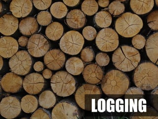 LOGGING
 