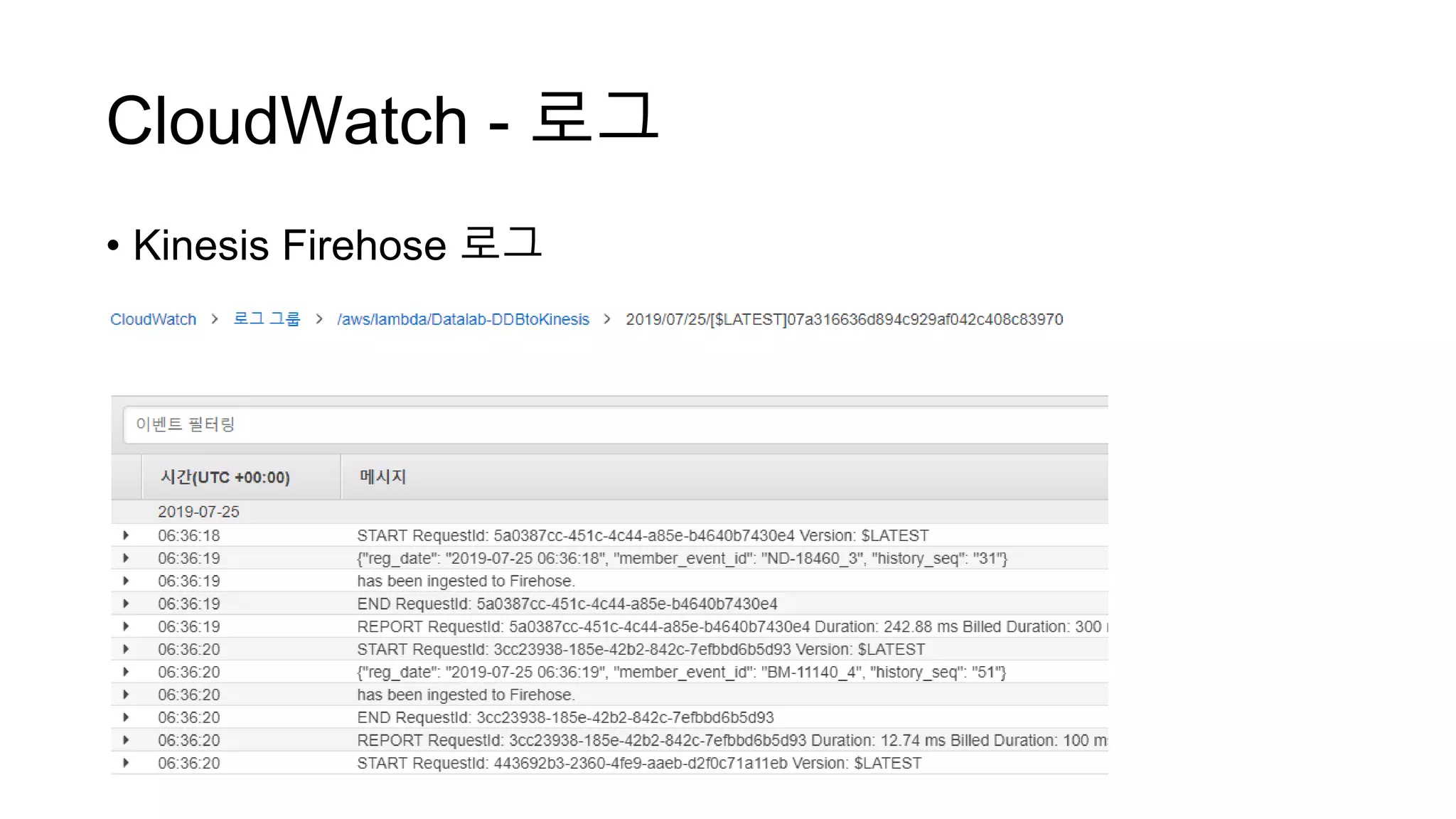 CloudWatch - 로그
• Kinesis Firehose 로그
 