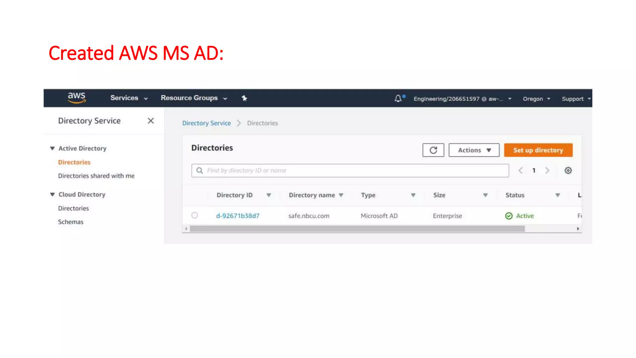 Created AWS MS AD:
 