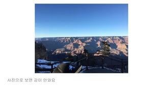 사진으로 보면 감이 안와요
 