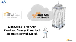 Juan Carlos Perez Amin
Cloud and Storage Consultant
jcperez@easynube.co.uk
 