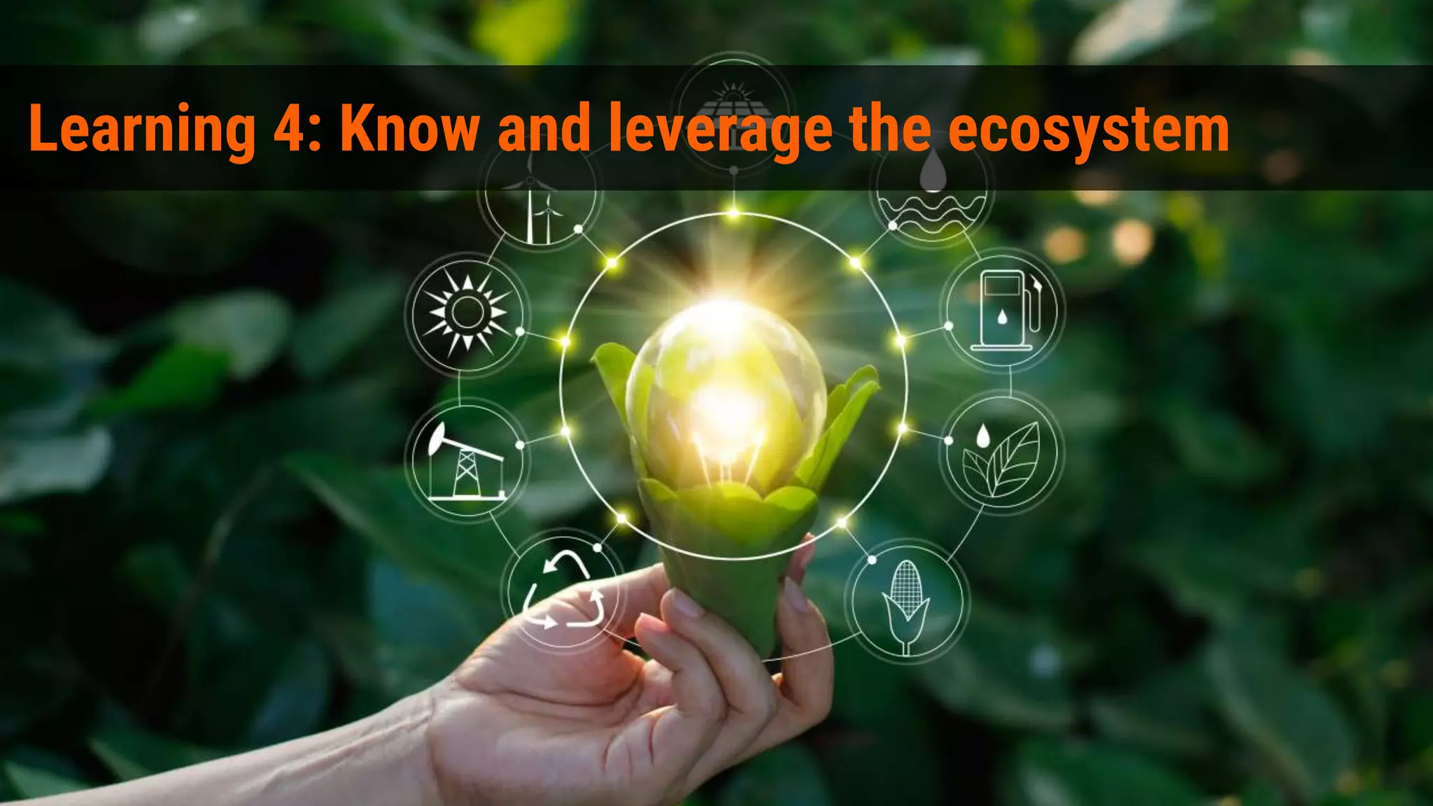 Learning 4: Know and leverage the ecosystem
 