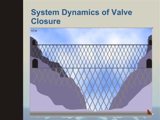 System Dynamics of Valve Closure 