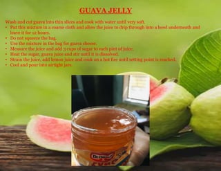 GUAVA JELLY
Wash and cut guava into thin slices and cook with water until very soft.
• Put this mixture in a coarse cloth and allow the juice to drip through into a bowl underneath and
leave it for 12 hours.
• Do not squeeze the bag.
• Use the mixture in the bag for guava cheese.
• Measure the juice and add 3 cups of sugar to each pint of juice.
• Heat the sugar, guava juice and stir until it is dissolved.
• Strain the juice, add lemon juice and cook on a hot fire until setting point is reached.
• Cool and pour into airtight jars.
 
