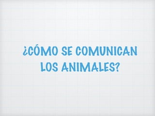 ¿CÓMO SE COMUNICAN
LOS ANIMALES?
 