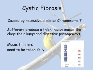 Cystic Fibrosis
Caused by recessive allele on Chromosome 7
Sufferers produce a thick, heavy mucus that
clogs their lungs and digestive passageways.
Mucus thinners
need to be taken daily
 
