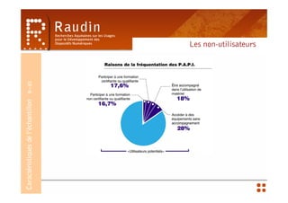 Caractéristiques de l’échantillon   N=81


                                           Les non-utilisateurs
 