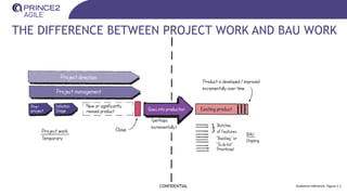 THE DIFFERENCE BETWEEN PROJECT WORK AND BAU WORK
CONFIDENTIAL Guidance reference: Figure 1.1
 