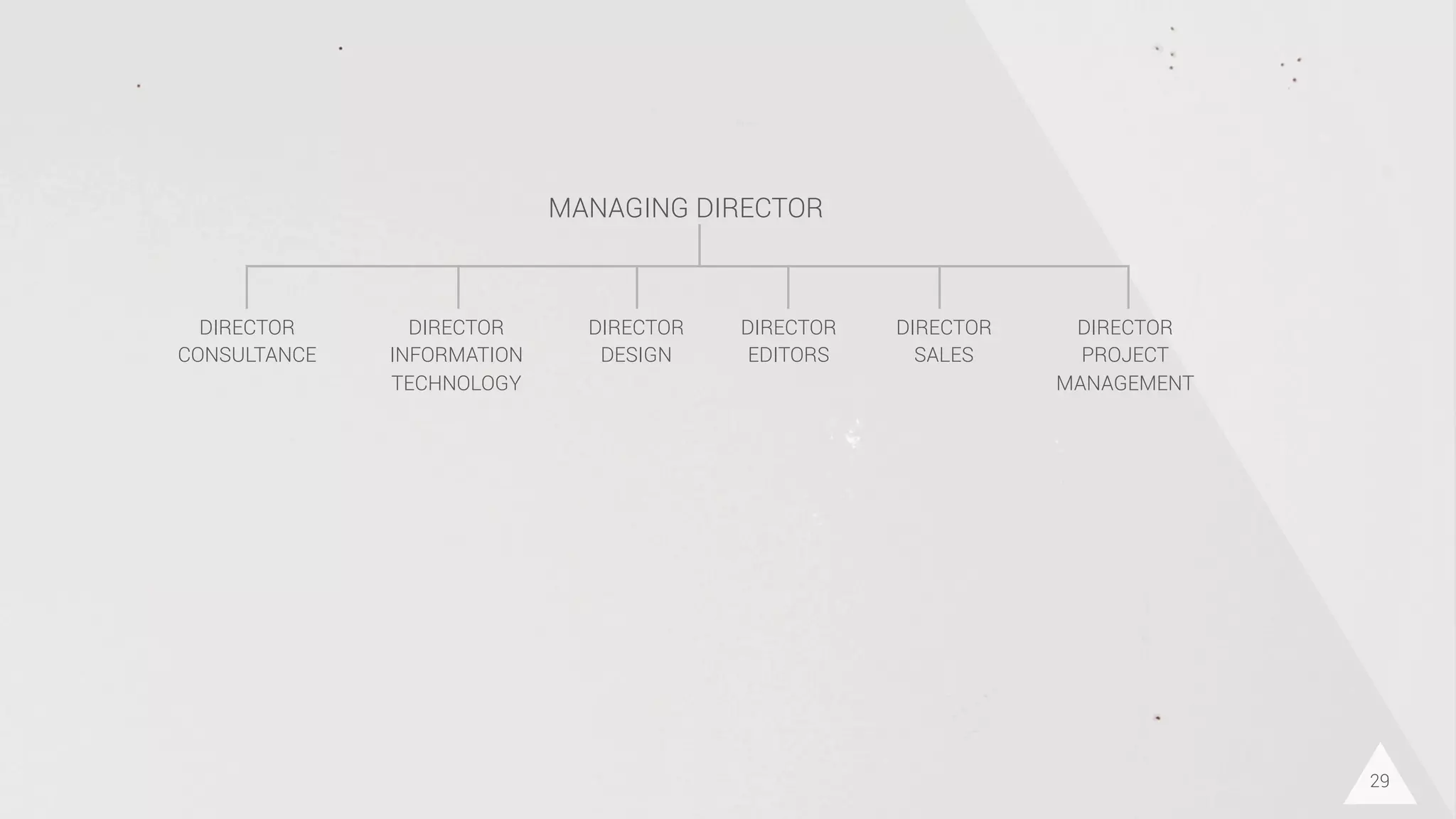 29
DIRECTOR
CONSULTANCE
DIRECTOR
INFORMATION
TECHNOLOGY
DIRECTOR
DESIGN
DIRECTOR
EDITORS
DIRECTOR
SALES
DIRECTOR
PROJECT
MANAGEMENT
MANAGING DIRECTOR
 