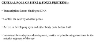AXENFELD RIGER SYNDROME in detail explanation | PPTX