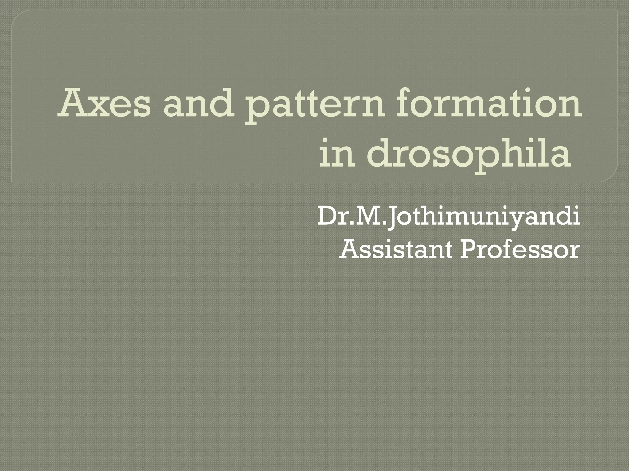 Axes and pattern formation in drosophila.pptx