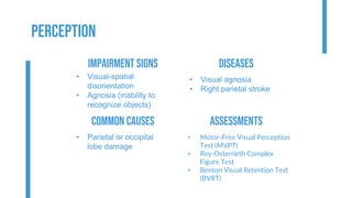 Ax for Cognitive and Higher Cortical Function.pdf