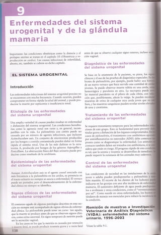 Urogenital y glandula mamaria