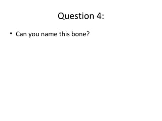 Question 4:
• Can you name this bone?
 