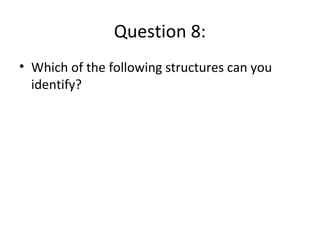 Question 8:
• Which of the following structures can you
identify?
 