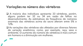 Variações no número das vértebras
❑ A maioria dos indivíduos apresenta 33 vértebras, porém,
alguns podem ter 32 ou 34 em razão de falhas no
desenvolvimento. As estimativas da frequência de números
anormais das vértebras acima do sacro alteram entre 5% e
12%.
❑ As variações das vértebras são afetadas por diversos fatores
de variação anatômica, como, por exemplo, raça, sexo e
ambiente. O aumento do número de vértebras é mais comum
em homens e a diminuição em mulheres.
 