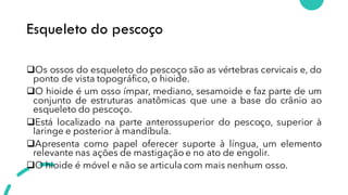Esqueleto do pescoço
❑Os ossos do esqueleto do pescoço são as vértebras cervicais e, do
ponto de vista topográfico,o hioide.
❑O hioide é um osso ímpar, mediano, sesamoide e faz parte de um
conjunto de estruturas anatômicas que une a base do crânio ao
esqueleto do pescoço.
❑Está localizado na parte anterossuperior do pescoço, superior à
laringe e posterior à mandíbula.
❑Apresenta como papel oferecer suporte à língua, um elemento
relevante nas ações de mastigação e no ato de engolir.
❑O hioide é móvel e não se articula com mais nenhum osso.
 