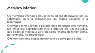 Membro inferior.
Os membros inferiores dos seres humanos desenvolveram-se,
sobretudo, para a manutenção da massa corporal e a
locomoção.
O fêmur é o mais longo e pesado osso do organismo humano.
Ele influencia significativamente a estatura de um indivíduo,
que pode ser medida a partir do comprimento do fêmur, como,
por exemplo, na arqueologia.
O fêmur transmite o peso do tronco e da pelve para a tíbia.
 