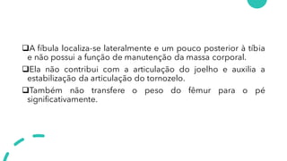 ❑A fíbula localiza-se lateralmente e um pouco posterior à tíbia
e não possui a função de manutenção da massa corporal.
❑Ela não contribui com a articulação do joelho e auxilia a
estabilização da articulação do tornozelo.
❑Também não transfere o peso do fêmur para o pé
significativamente.
 