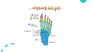 axial e proximal.pdf aula de anatomia - esqueleto
