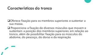 Características do tronco
❑Oferece fixação para os membros superiores e sustentar a
sua massa.
❑ Proporciona a fixação de diversos músculos que movem e
sustentam a posição dos membros superiores em relação ao
tronco, além de possibilitar fixação para os músculos do
abdome, do pescoço, do dorso e da respiração
 