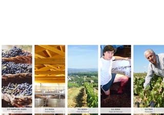 D.O. RIBERA DEL DUERO
Bodega Finca El Carpio
D.O. RUEDA
Bodega Avelino Vegas
D.O. BIERZO
Bodega Vinos de Arganza
D.O. CAMPO DE BORJA
Bodega Pagos del Moncayo
D.O. CAVA
Bodega Parxet
 