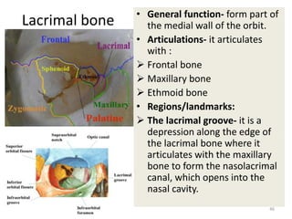 Axial skeletal | PPTX