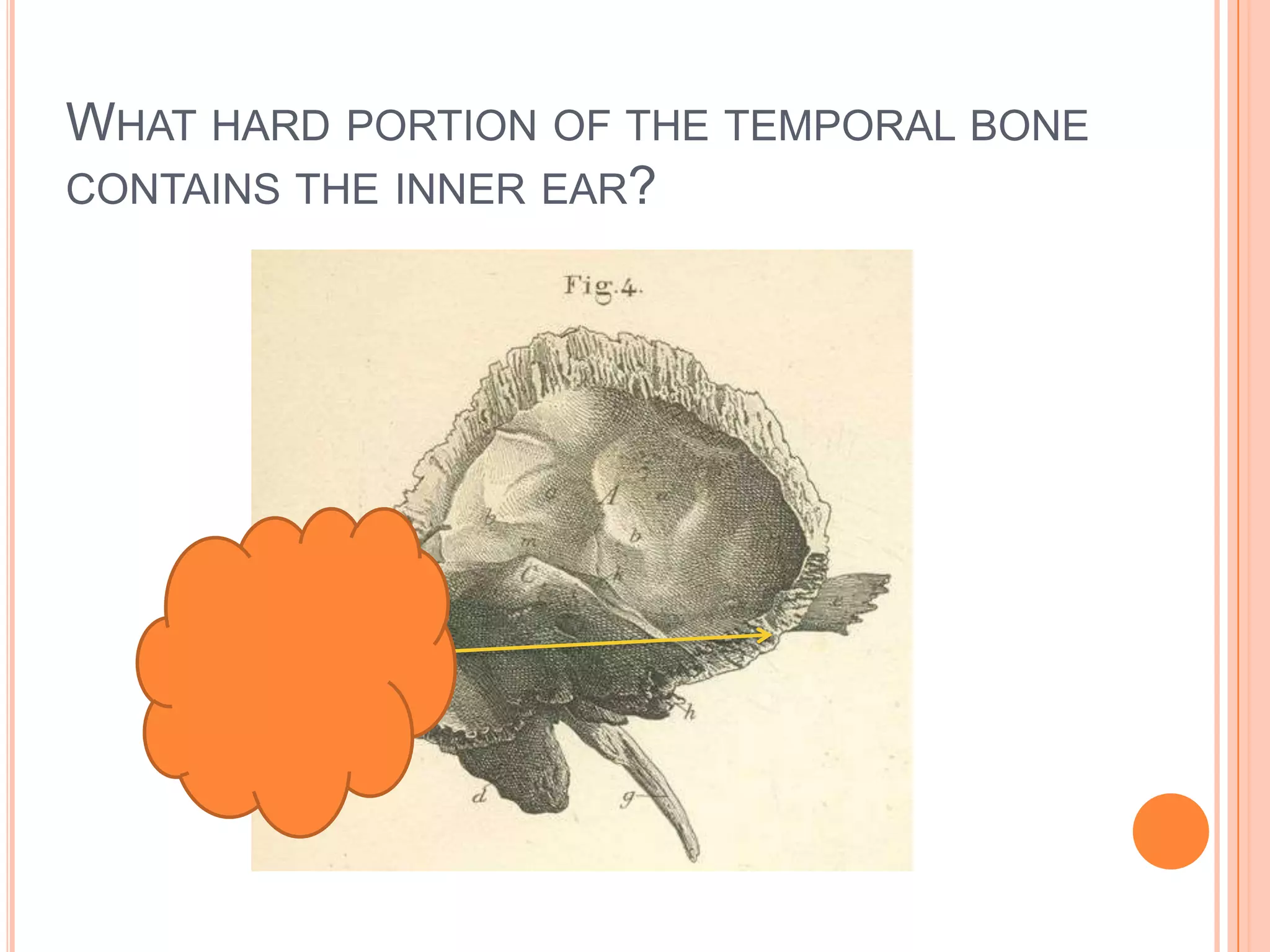 What hard portion of the temporal bone contains the inner ear?Petrous part