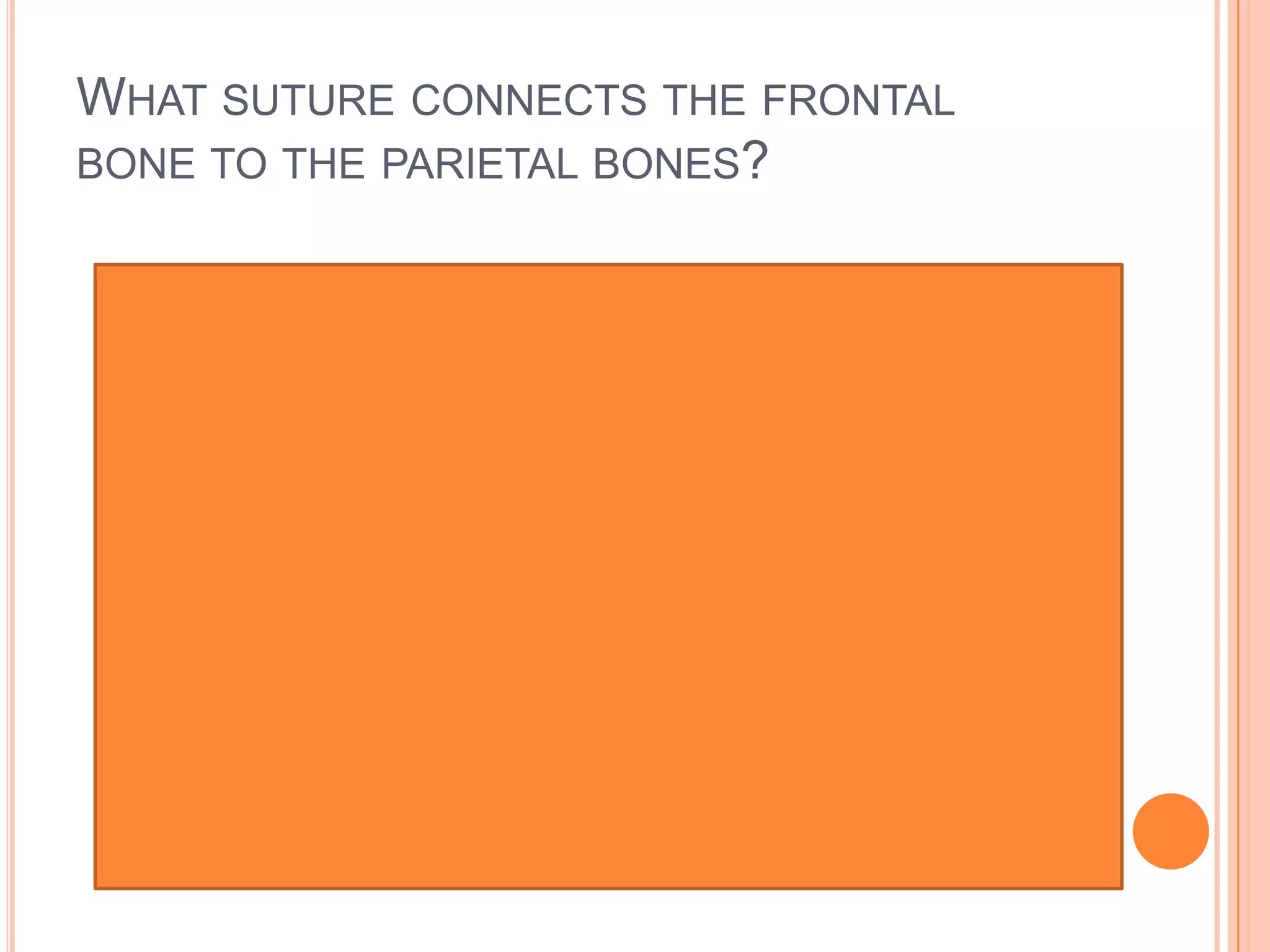 What suture connects the frontal bone to the parietal bones?Coronal suture