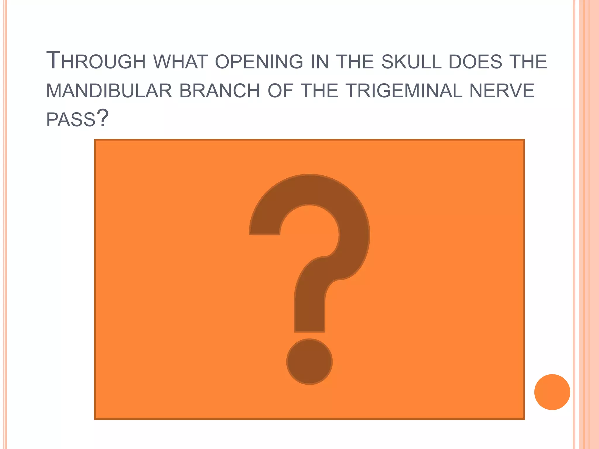 Through what opening in the skull does the mandibular branch of the trigeminal nerve pass?Foramen ovale