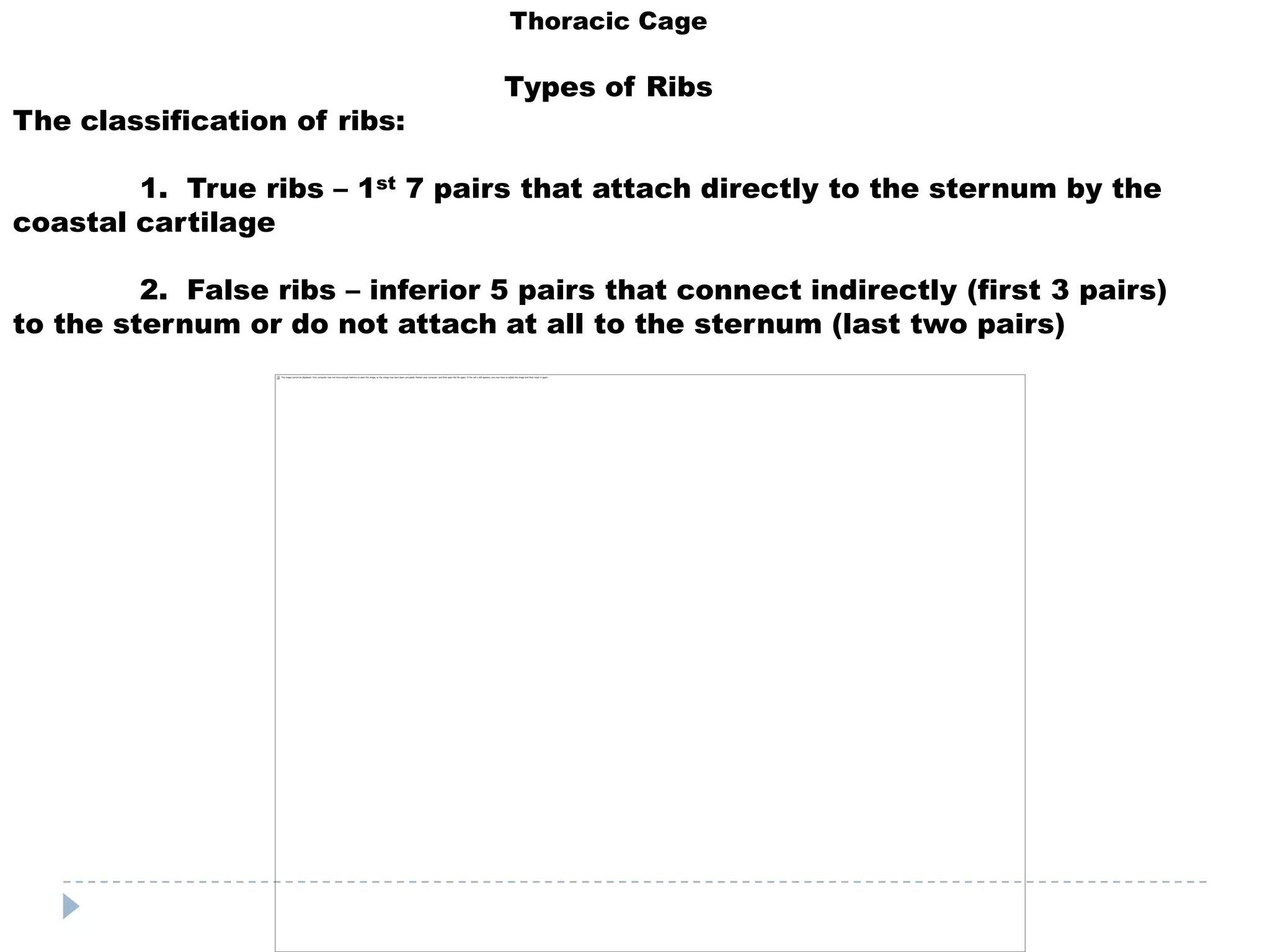 Thoracic Cage

                                  Types of Ribs
The classification of ribs:

        1. True ribs – 1st 7 pairs that attach directly to the sternum by the
coastal cartilage

         2. False ribs – inferior 5 pairs that connect indirectly (first 3 pairs)
to the sternum or do not attach at all to the sternum (last two pairs)
 