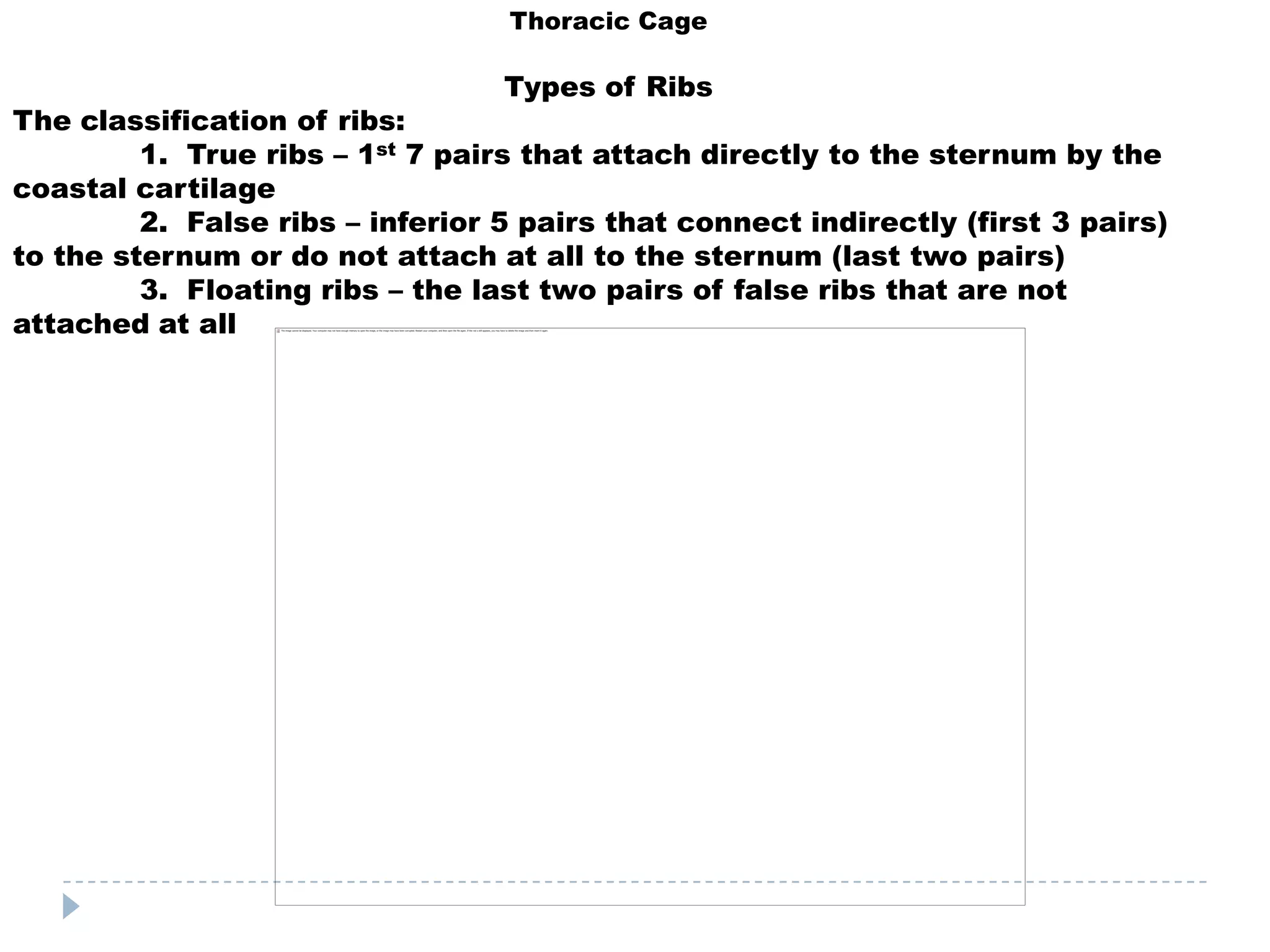 Thoracic Cage

                                  Types of Ribs
The classification of ribs:
         1. True ribs – 1st 7 pairs that attach directly to the sternum by the
coastal cartilage
         2. False ribs – inferior 5 pairs that connect indirectly (first 3 pairs)
to the sternum or do not attach at all to the sternum (last two pairs)
         3. Floating ribs – the last two pairs of false ribs that are not
attached at all
 