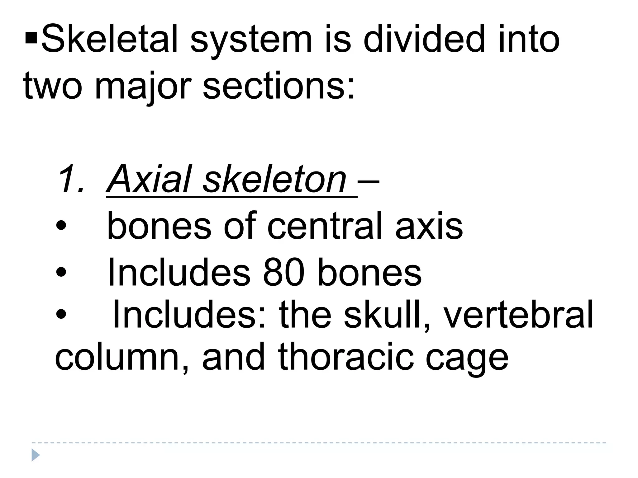 Skeletal system is divided into
two major sections:

 1. Axial skeleton –
 • bones of central axis
 • Includes 80 bones
 • Includes: the skull, vertebral
 column, and thoracic cage
 