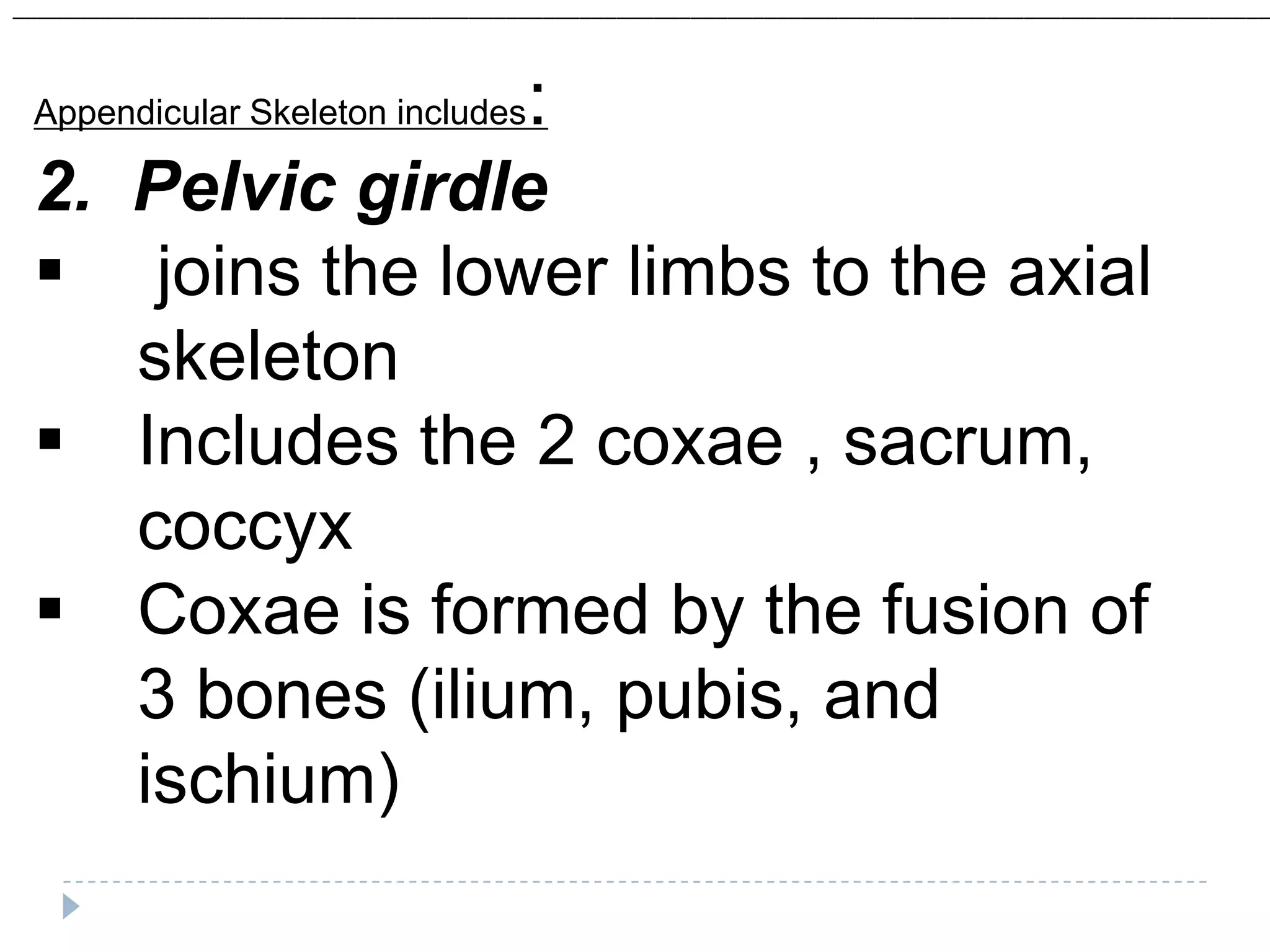 ______________________________________________________________________________________________________



 Appendicular Skeleton includes          :
 2. Pelvic girdle
  joins the lower limbs to the axial
    skeleton
  Includes the 2 coxae , sacrum,
    coccyx
  Coxae is formed by the fusion of
    3 bones (ilium, pubis, and
    ischium)
 