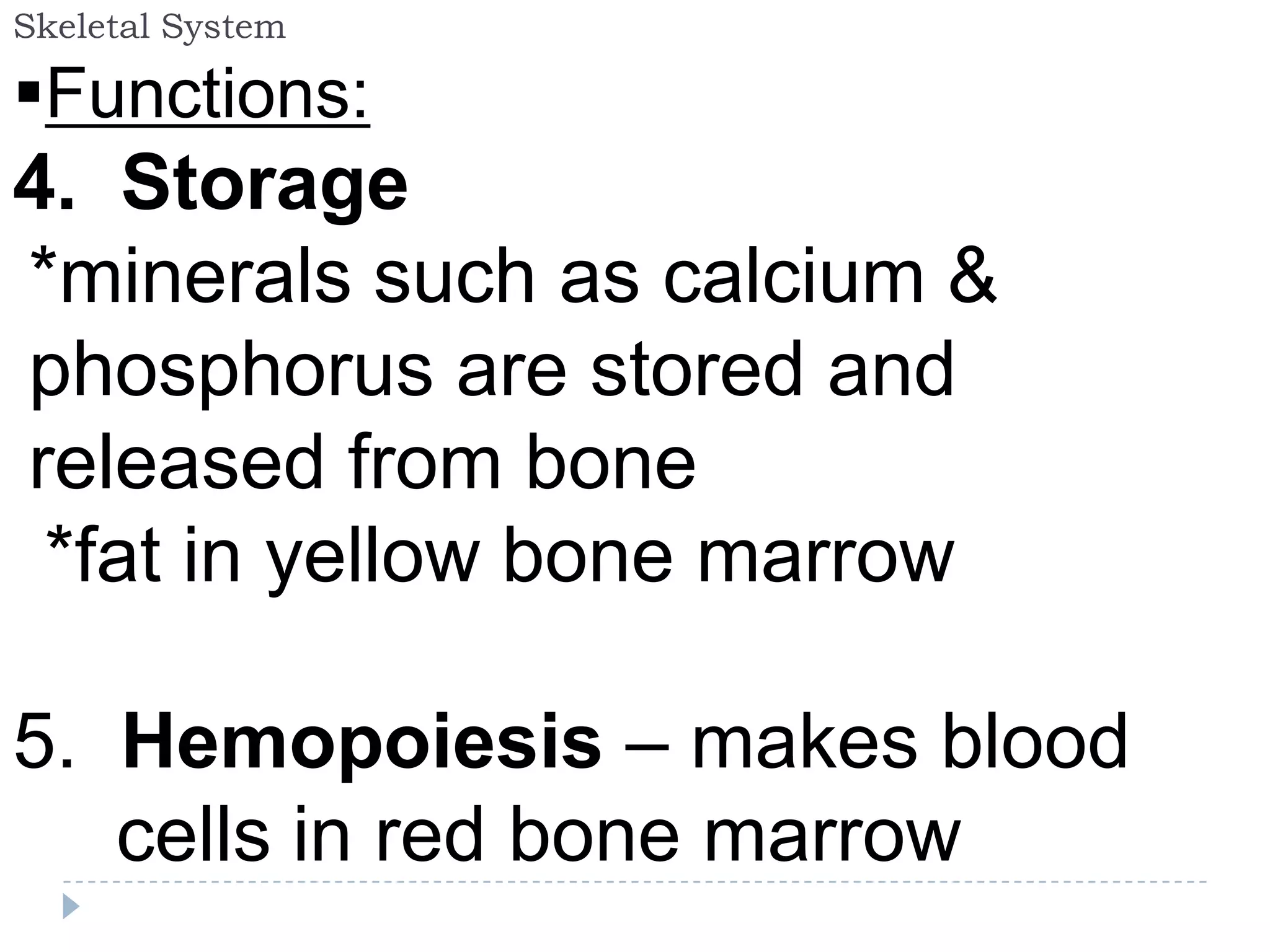 Skeletal System

Functions:
4. Storage
*minerals such as calcium &
phosphorus are stored and
released from bone
 *fat in yellow bone marrow

5. Hemopoiesis – makes blood
   cells in red bone marrow
 