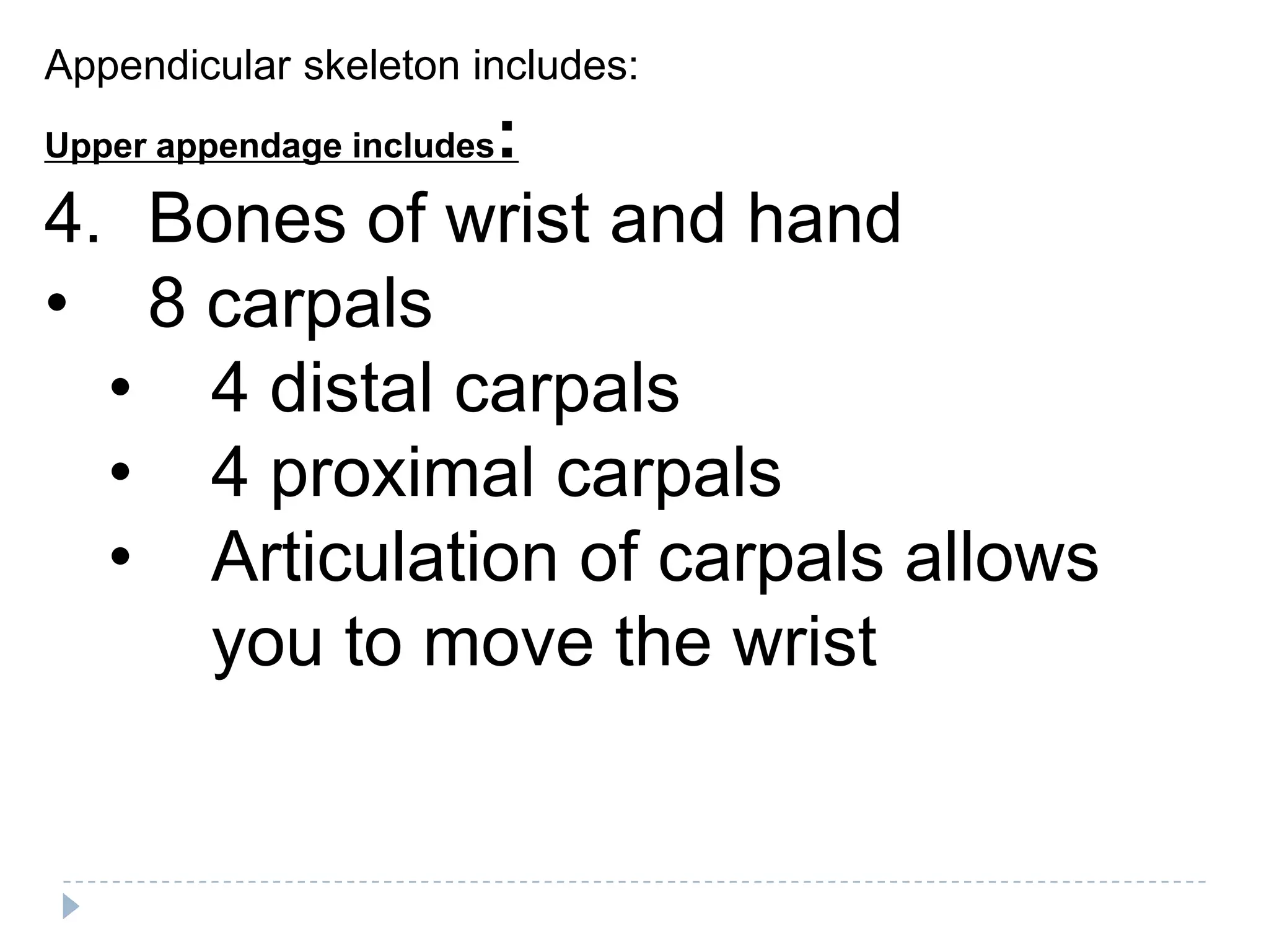 Appendicular skeleton includes:
              :
Upper appendage includes

4. Bones of wrist and hand
• 8 carpals
  • 4 distal carpals
  • 4 proximal carpals
  • Articulation of carpals allows
    you to move the wrist
 