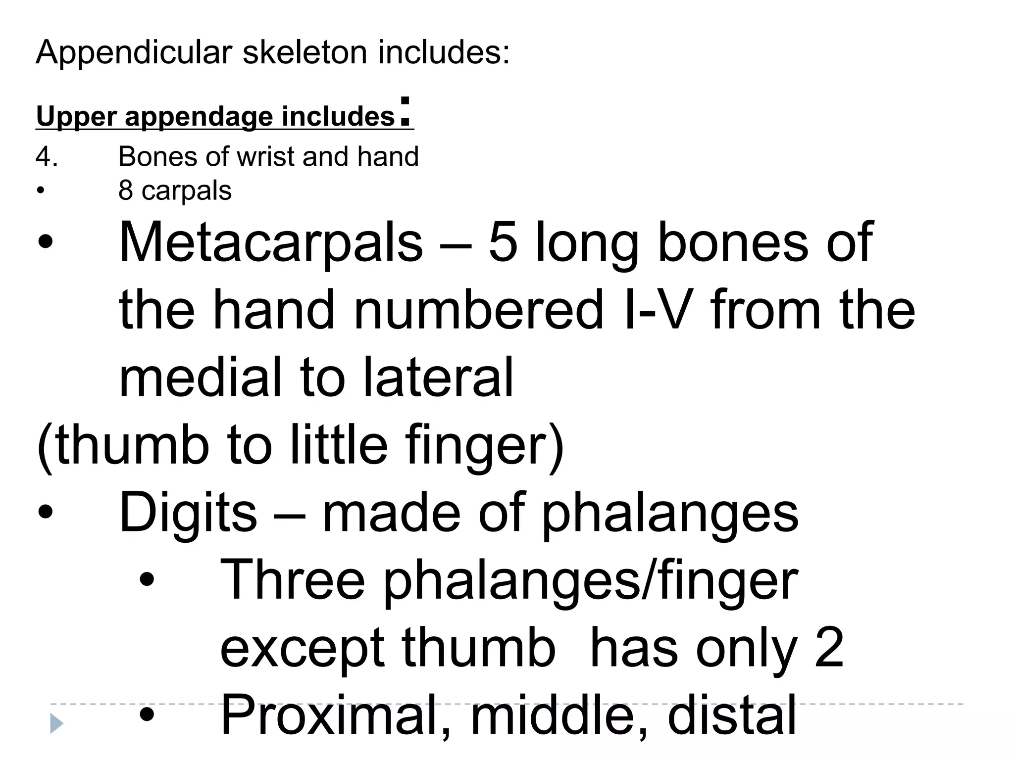 Appendicular skeleton includes:
Upper appendage includes  :
4.   Bones of wrist and hand
•    8 carpals

•   Metacarpals – 5 long bones of
    the hand numbered I-V from the
    medial to lateral
(thumb to little finger)
• Digits – made of phalanges
     • Three phalanges/finger
        except thumb has only 2
     • Proximal, middle, distal
 