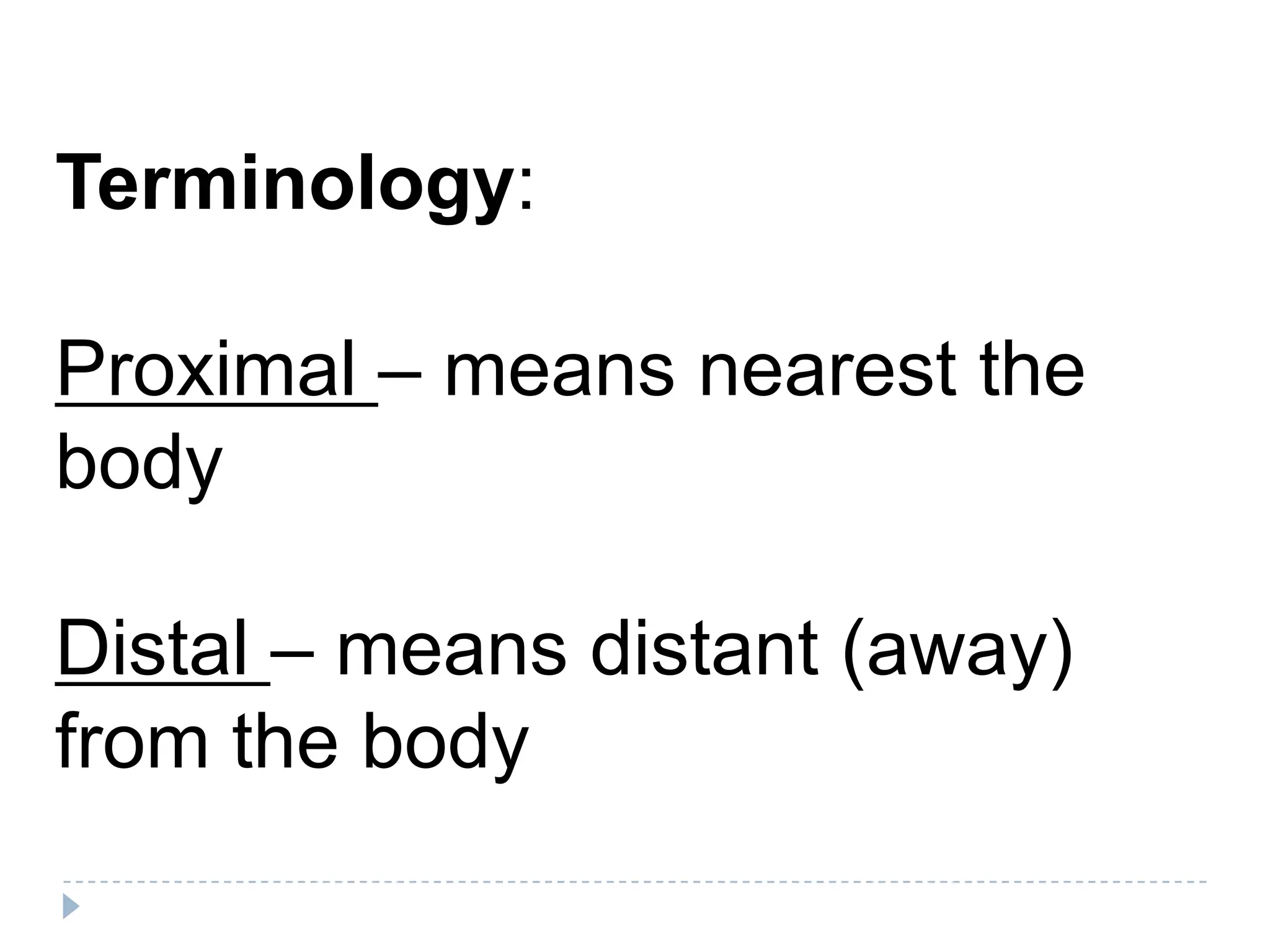 Terminology:

Proximal – means nearest the
body

Distal – means distant (away)
from the body
 