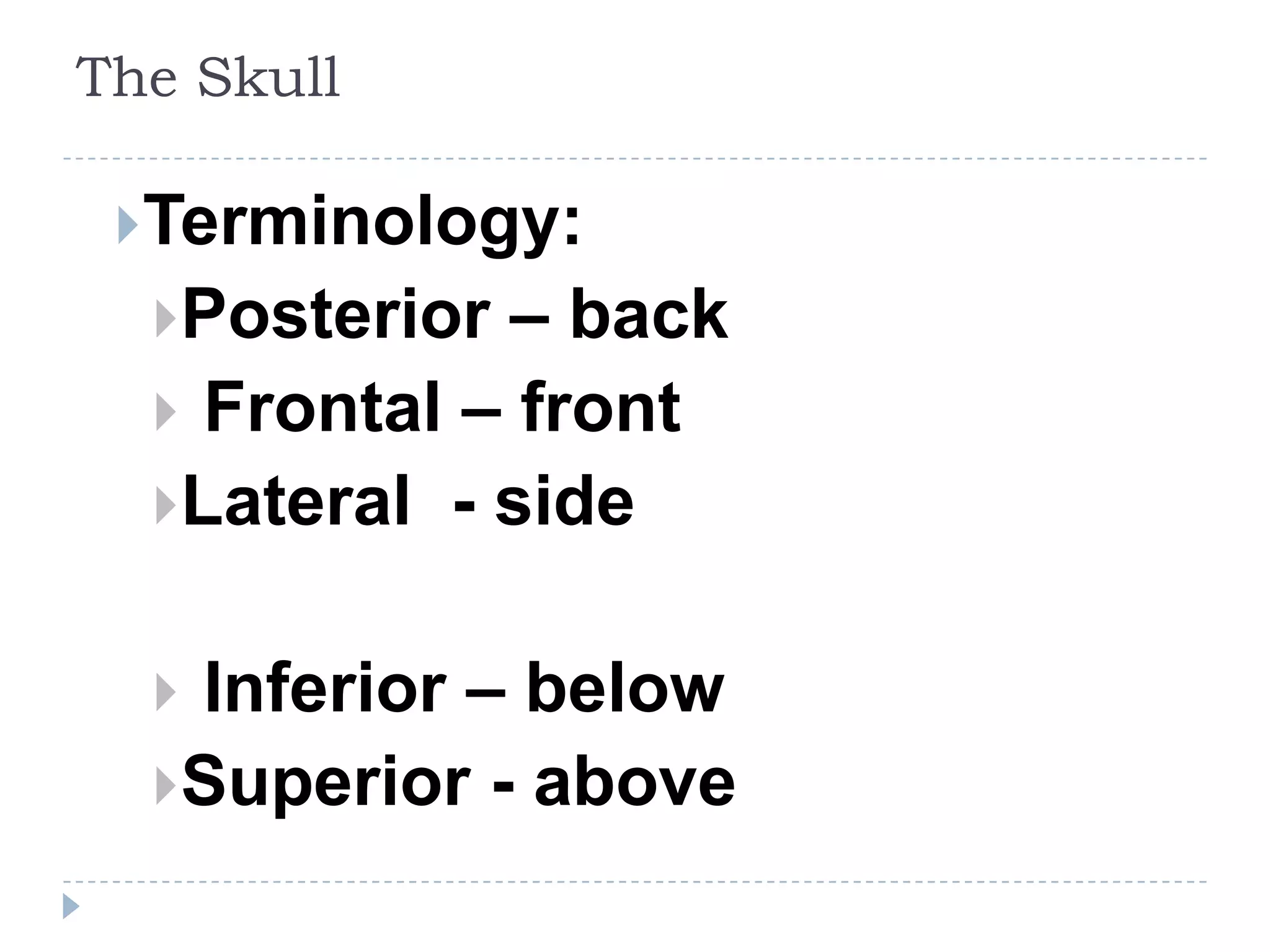 The Skull

 Terminology:
  Posterior – back
   Frontal – front
  Lateral - side


  Inferior – below
  Superior - above
 