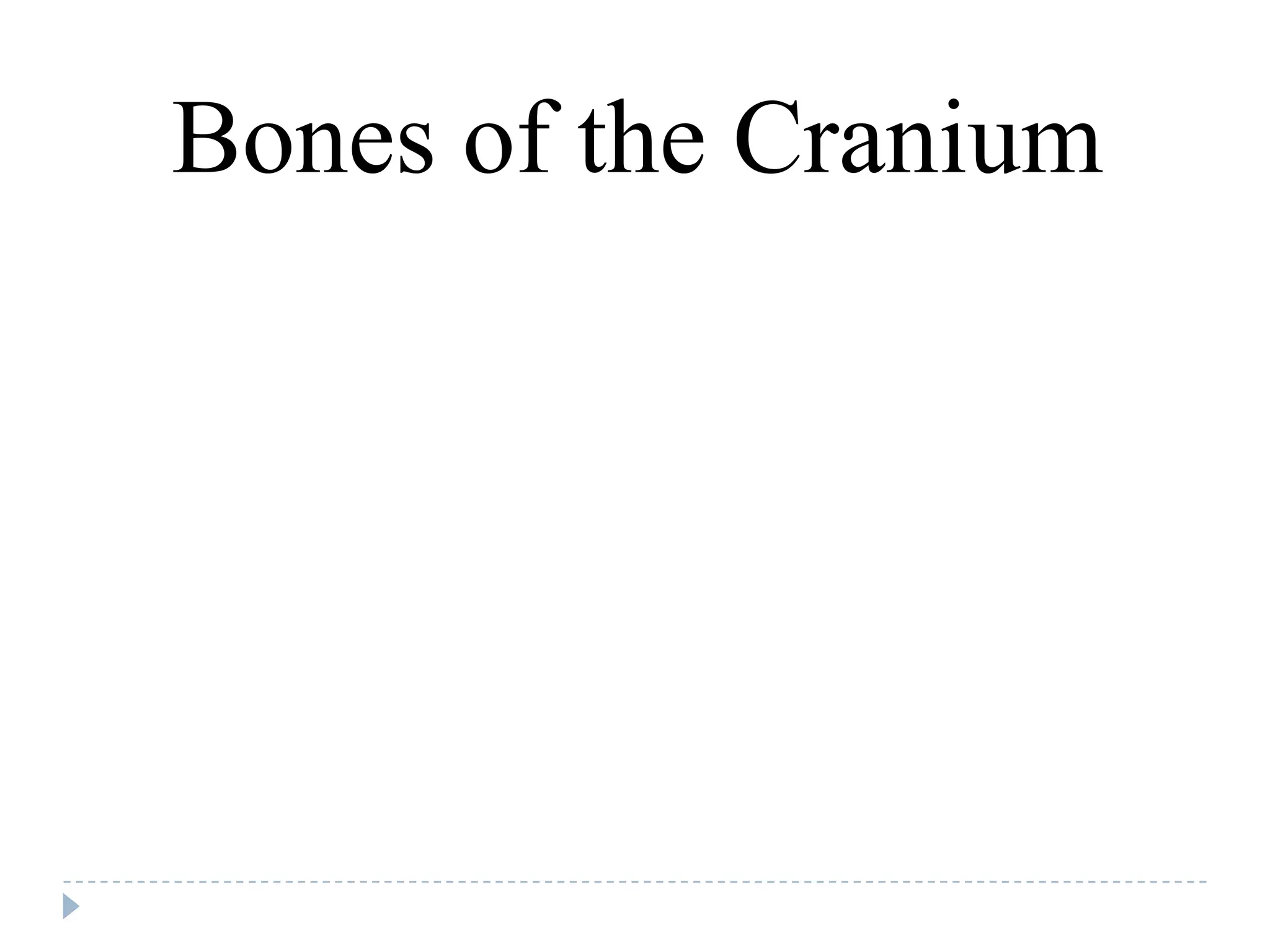 Bones of the Cranium
 