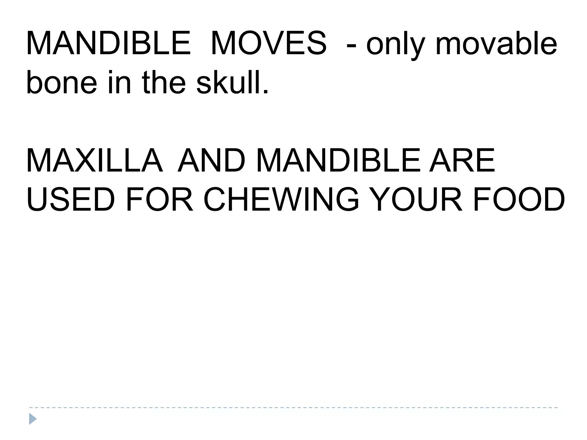 MANDIBLE MOVES - only movable
bone in the skull.

MAXILLA AND MANDIBLE ARE
USED FOR CHEWING YOUR FOOD
 